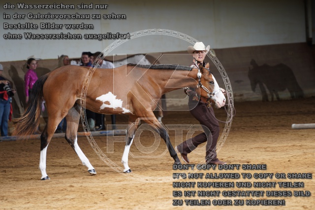 s_A_900394.JPG